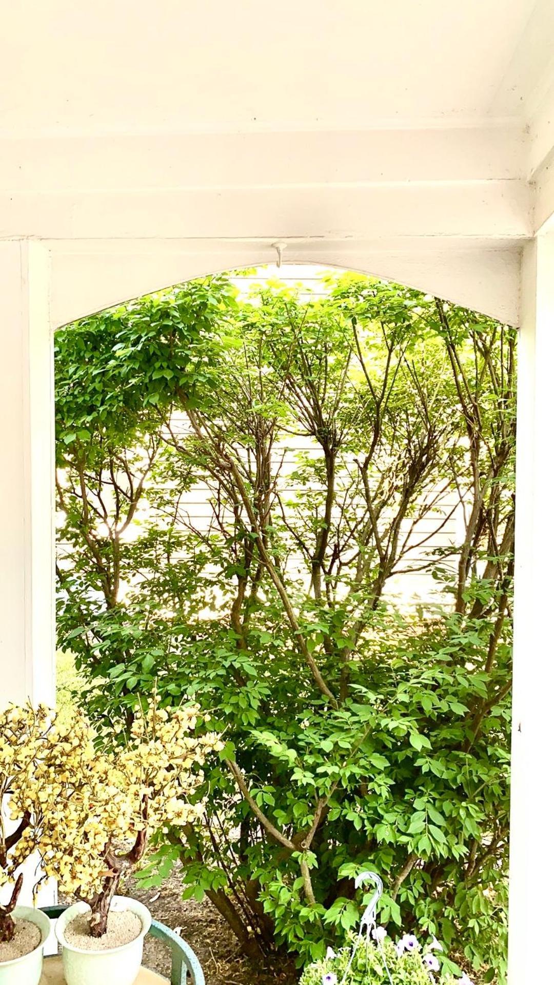 Homestay B3 A Private In Downtown With Desk And Wi-fi Near Everything Naperville