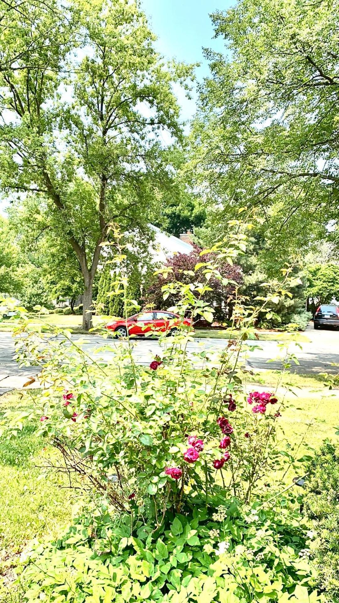 B3 A Private In Downtown With Desk And Wi-fi Near Everything Séjour chez l'habitant *